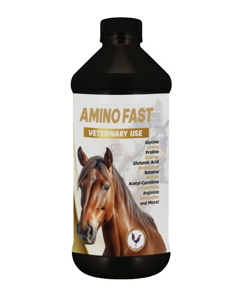 Amino Fast 1lt - Equines, Gallo fino, Vitamins