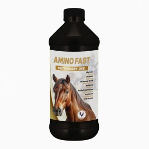 Amino Fast 1lt - Equines, Equines, Gallo fino, Vitamins, Vitamins
