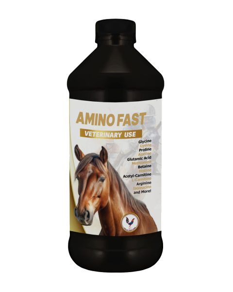 Amino Fast 1lt - Equines, Gallo fino, Vitamins
