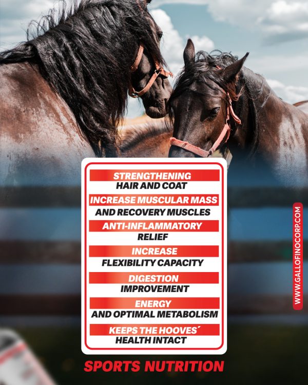 Sports Nutrition - Image 5