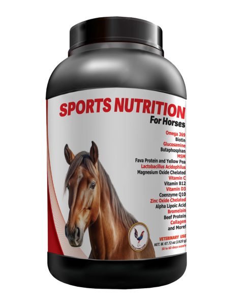 Sports Nutrition - Equines, Gallo fino, Vitamins