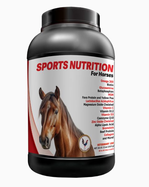Sports Nutrition - Equines, Gallo fino, Vitamins
