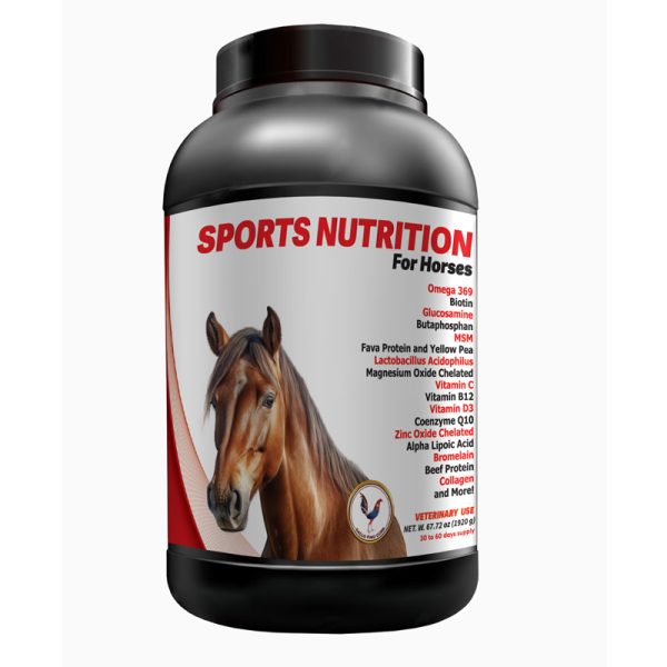 Sports Nutrition