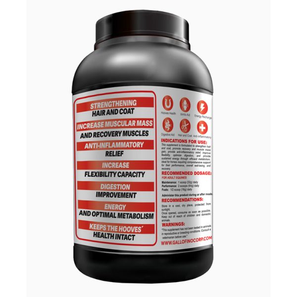 Sports Nutrition - Image 2